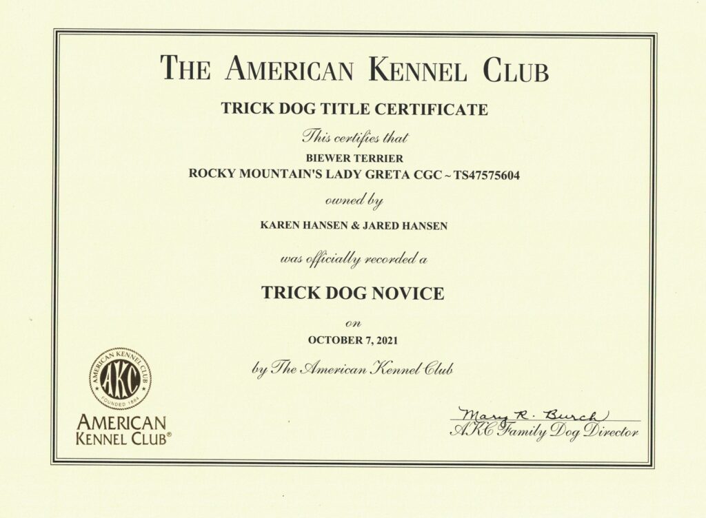 Biewer Terrier Rocky Mountain's Lady Greta Trick Dog Novice