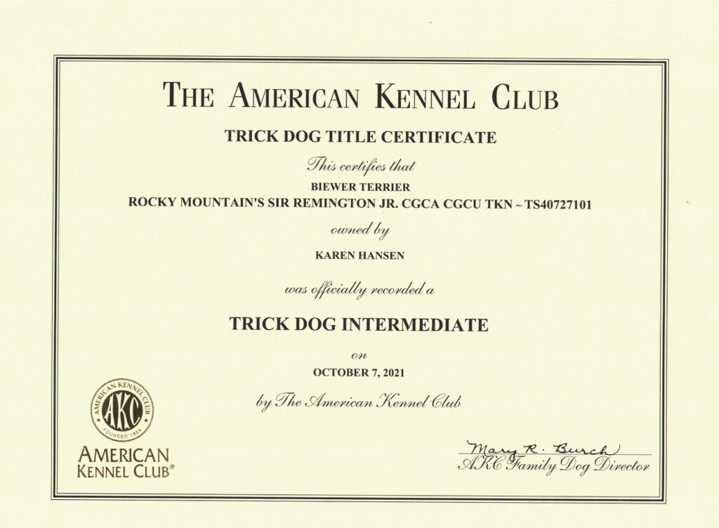 Biewer Terrier Rocky Mountain's Sir Remi Jr. Trick Dog Intermediate