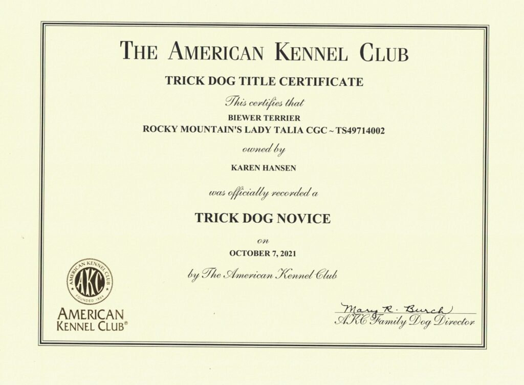 Biewer Terrier Rocky Mountain's Lady Talia Trick CGC Certificate