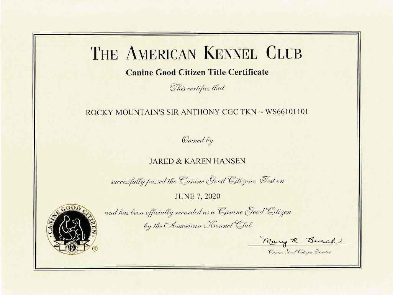 Rocky Mountain's Sir Anthony AKC CGC Certificate