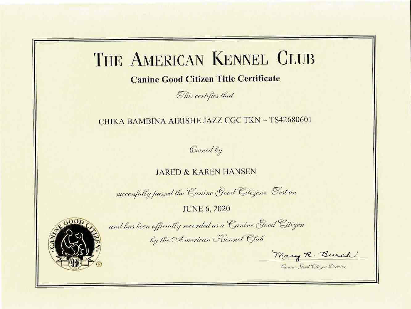 Chika Bambina Arise Jazz CGC Certificate