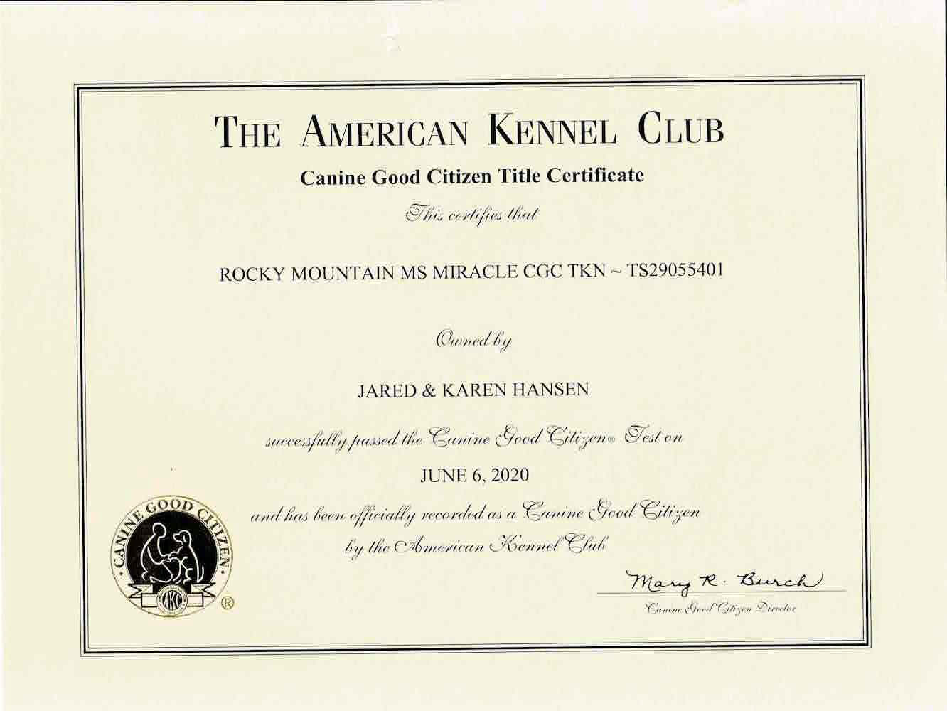Rocky Mountain's Lady Miracle AKC CGC Certificate