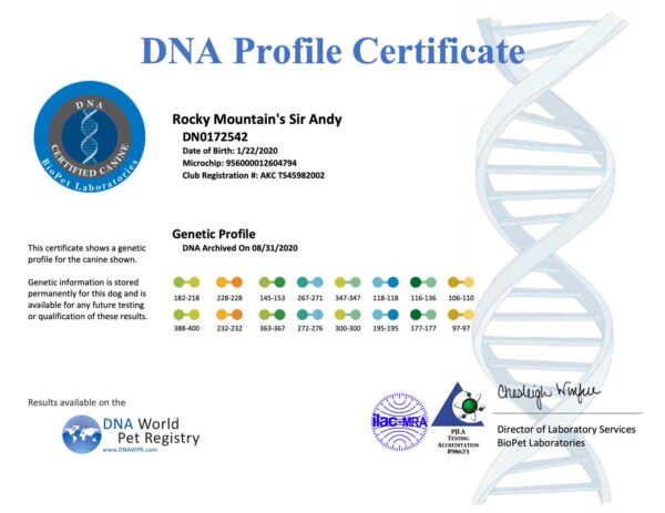 Rocky Mountain Biewer Terriers DNA Profile Certificate for Rocky Mountain's Sir Andy