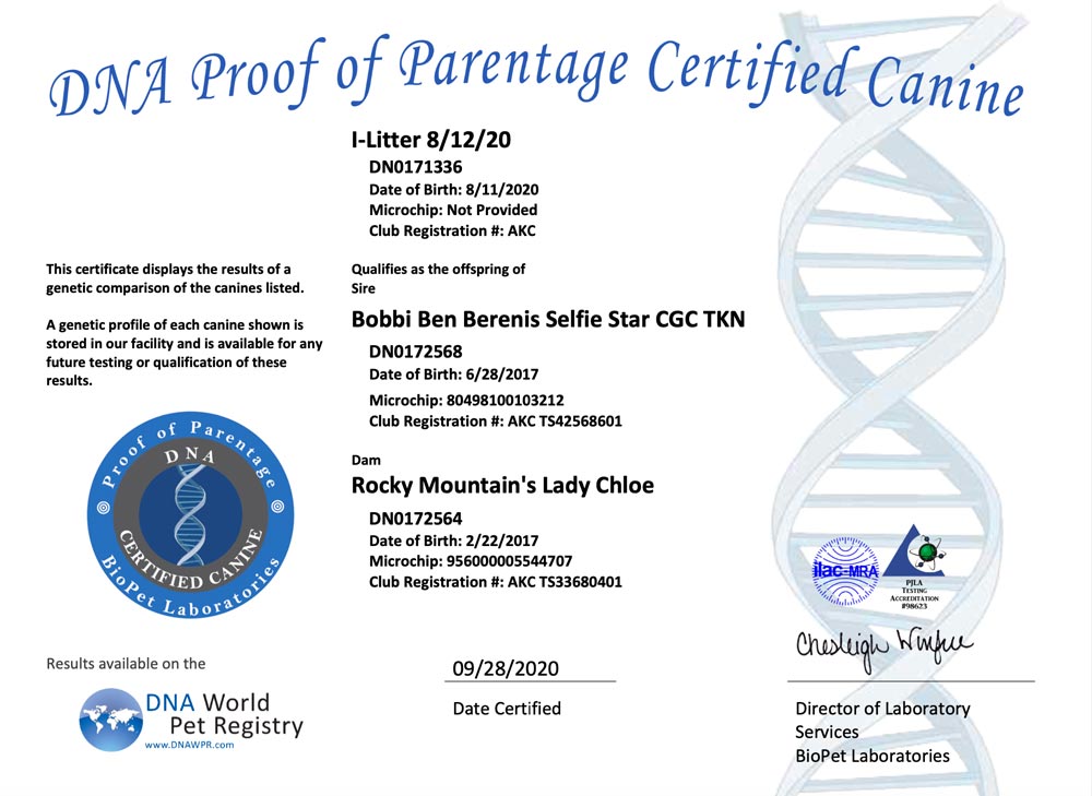 Rocky Mountain Biewer Terriers Proof of Parentage DNA Test Certificate I-Litter 8/12/2020