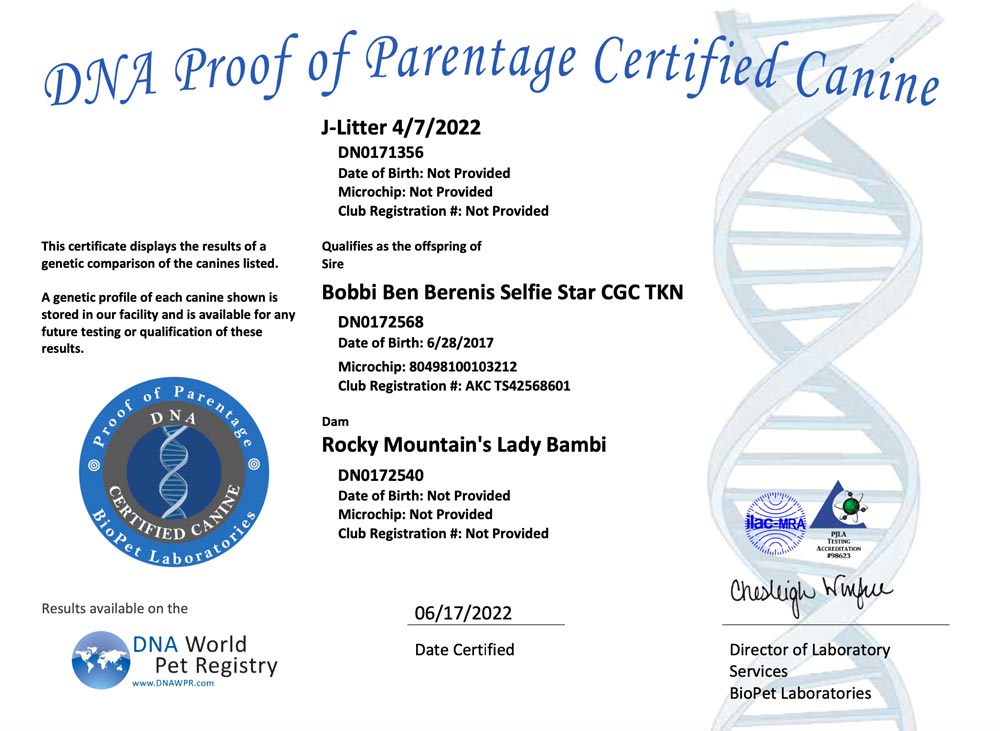 Rocky Mountain Biewer Terriers Proof of Parentage DNA Test Certificate J-Litter 4/7/2022