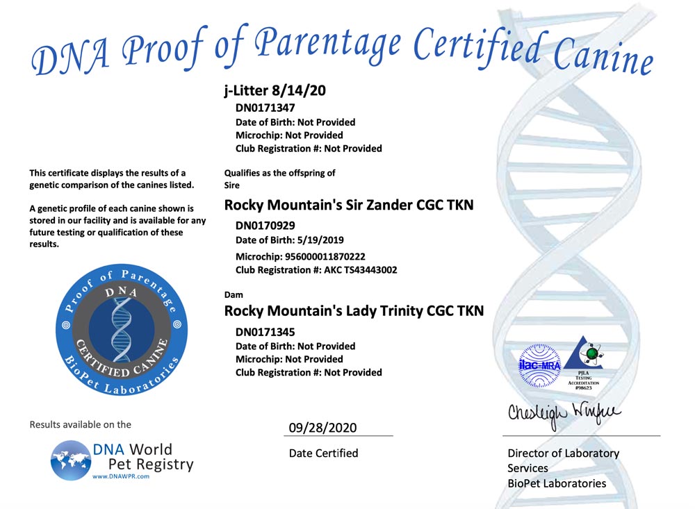 Rocky Mountain Biewer Terriers Proof of Parentage DNA Test Certificate J-Litter 8/14/2020