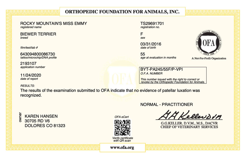 Biewer Terrier Rocky Mountain's Lady Emmy OFA Patellar Luxation Test Certificate