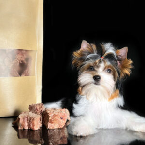 Freeze Dried Chicken Liver