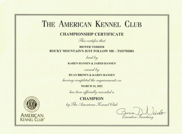 AKC CH Title Certificate Rocky Mountain's Just Follow Me