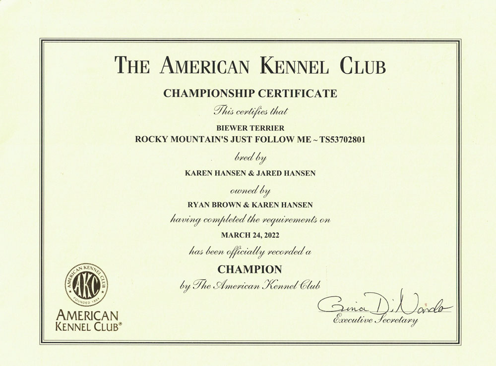 Biewer Terrier Rocky Mountain's Just Follow Me Champion Title Certificate