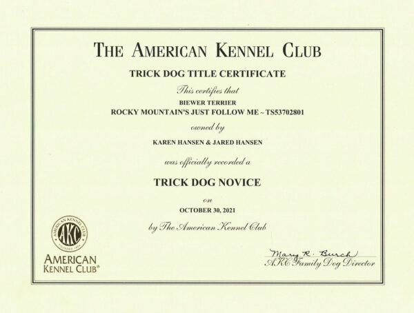 AKC Trick Dog Novice Certificate Rocky Mountain's Just Follow Me