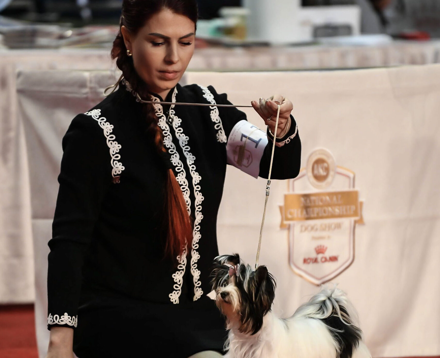 Karen Hansen AKC Dog Show