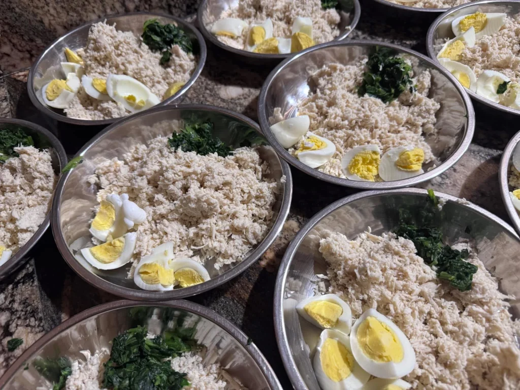 Homemade Biewer Terrier Cooked Meals