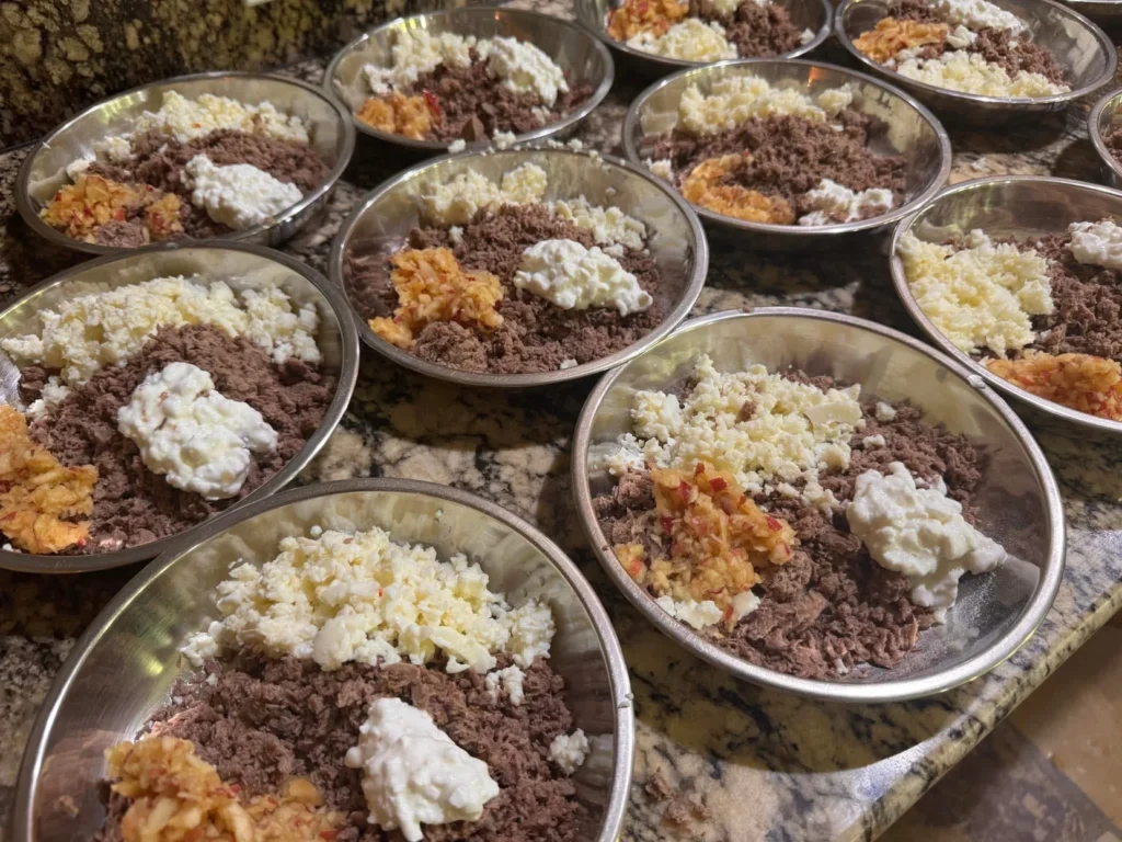 Homemade Biewer Terrier Cooked Meals