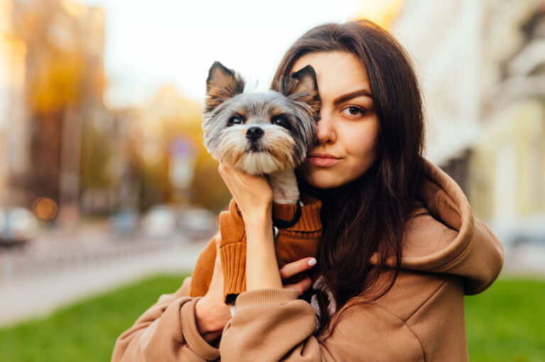 Do Biewer Terriers make good Emotional Support Animals or Service Dogs?