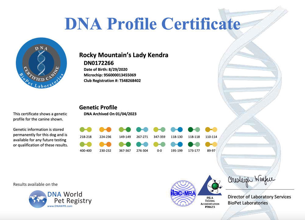 Rocky Mountain Biewer Terriers DNA Profile Certificate for Rocky Mountain's Lady Kendra