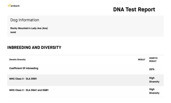 Rocky Mountain's Lady Ava Biewer Terrier Diversity Test Result