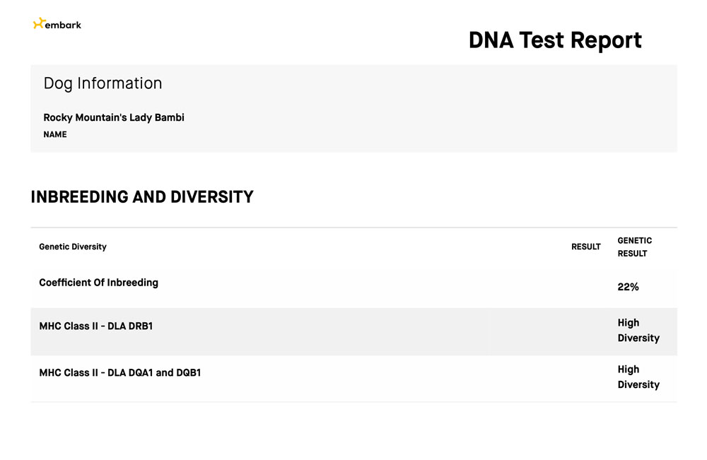 Rocky Mountain's Lady Bambi Biewer Terrier Diversity Test Result
