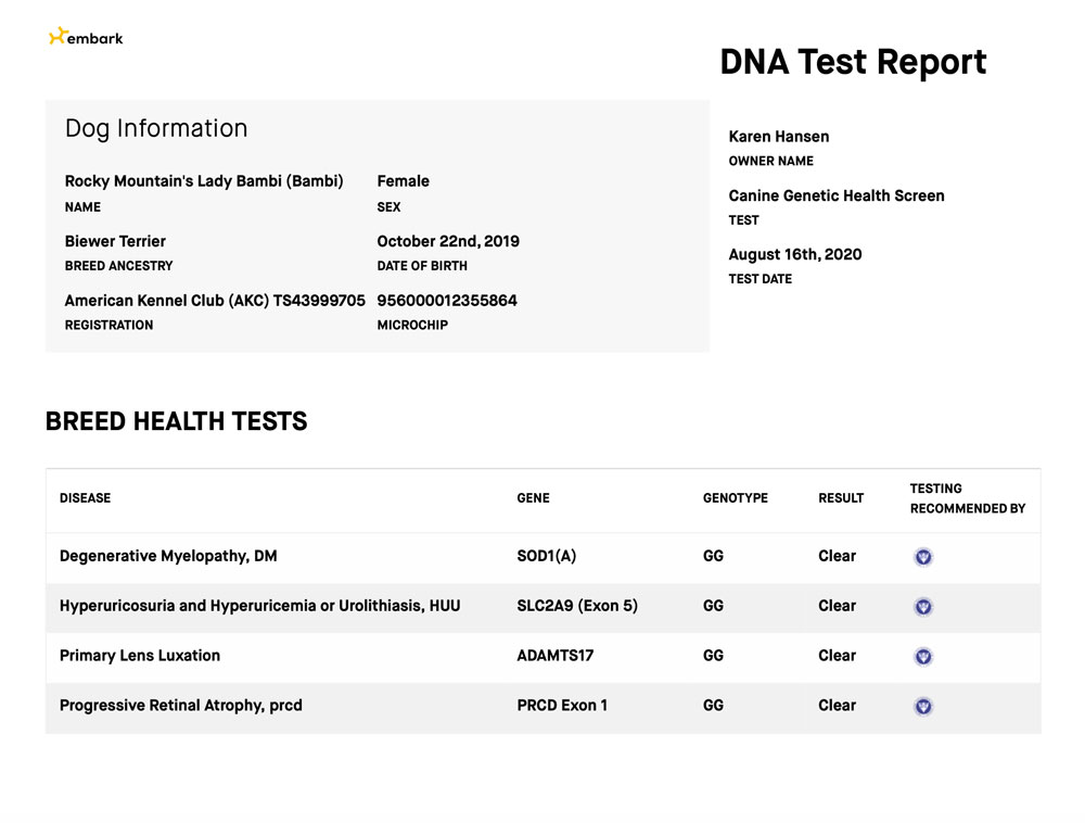 Rocky Mountain's Lady Bambi Biewer Terrier OFA Health Test results