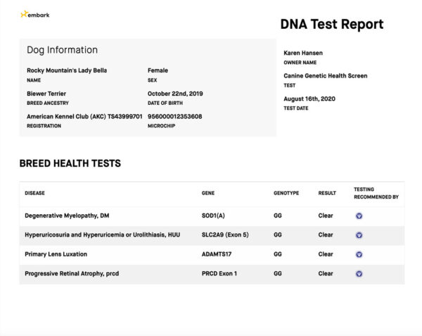 Rocky Mountain's Lady Bella Biewer Terrier OFA Health Test results