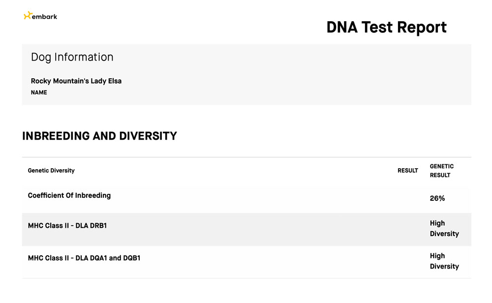Rocky Mountain's Lady Elsa Biewer Terrier Diversity Test Result