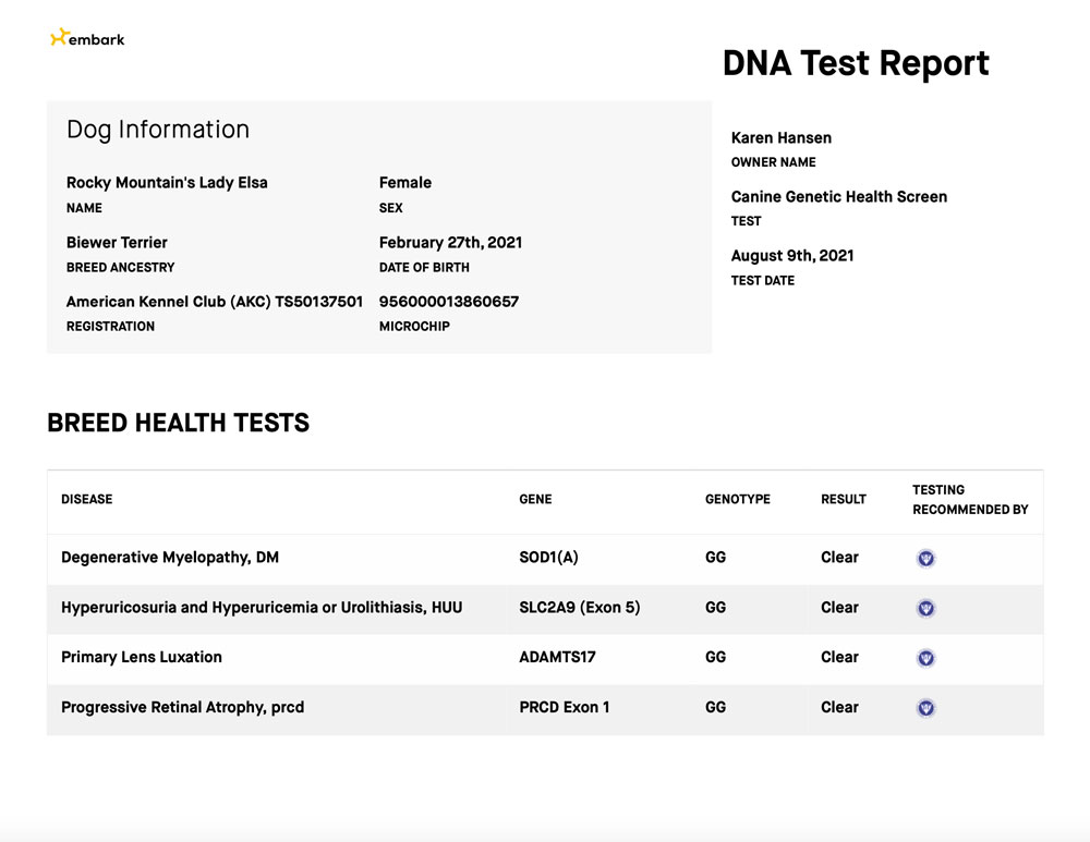 Rocky Mountain's Lady Elsa Biewer Terrier OFA Health Test results