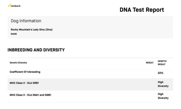 Rocky Mountain's Lady Gina Biewer Terrier Diversity Test Result