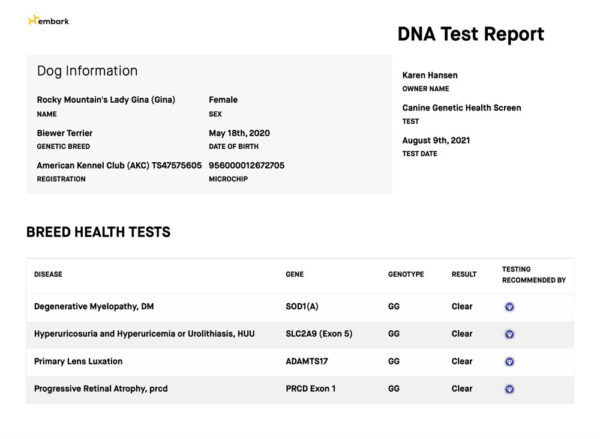 Rocky Mountain's Lady Gina Biewer Terrier OFA Health Test results