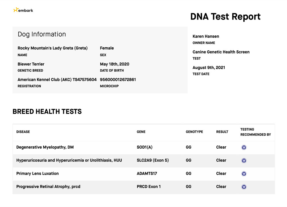 Rocky Mountain's Lady Greta Biewer Terrier OFA Health Test results