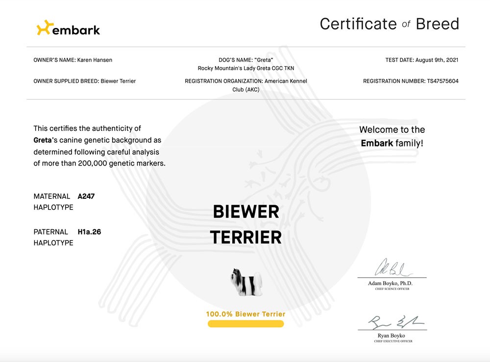 Rocky Mountain's Lady Greta Biewer Terrier Pure Bred Certificate
