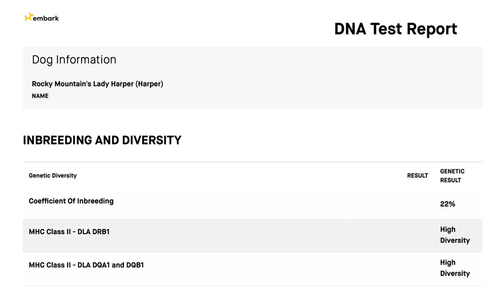 Rocky Mountain's Lady Harper Biewer Terrier Diversity Test Result