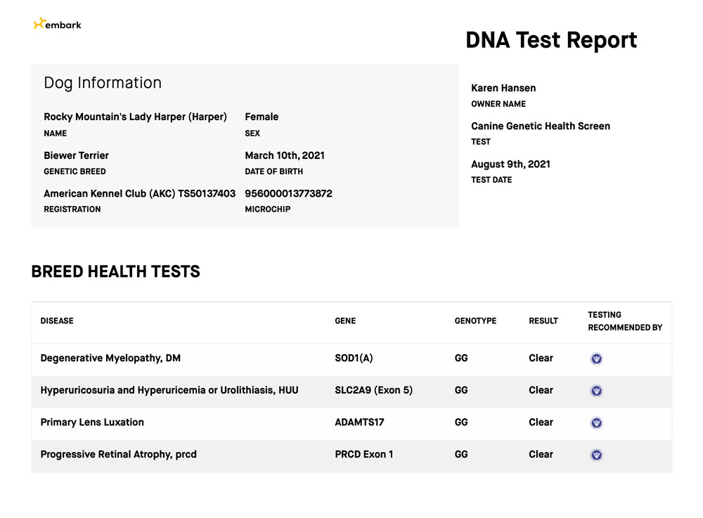 Rocky Mountain's Lady Harper Biewer Terrier OFA Health Test results