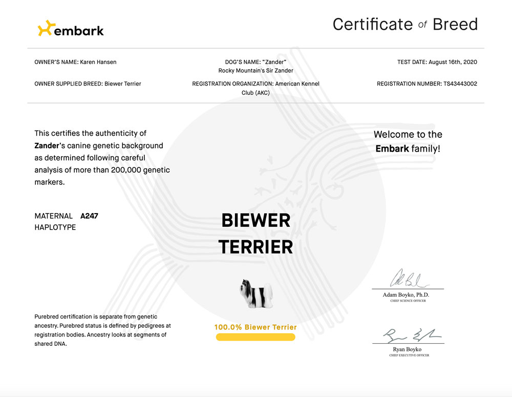 Rocky Mountain's Sir Zander Biewer Terrier Pure Bred Certificate