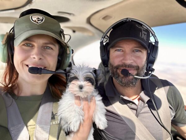 Biewer Terriers on Airplane