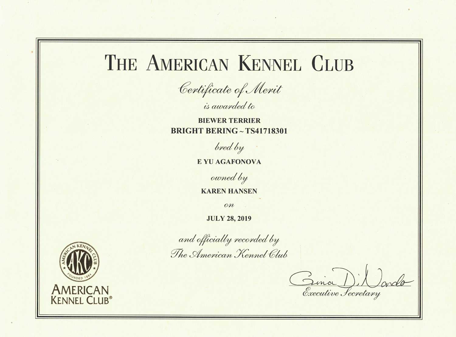 Milo Bright Bering AKC Championship Certificate