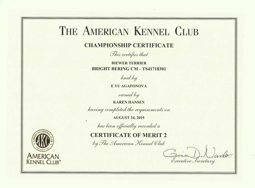 Milo Bright Bering AKC Championship Certificate