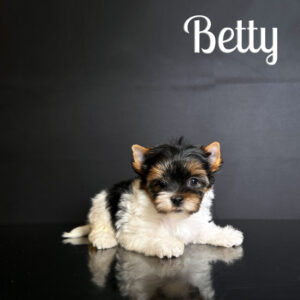 Betty Biewer Puppy Girl