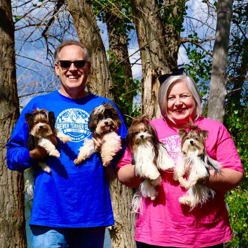 Biewer Terrier Review